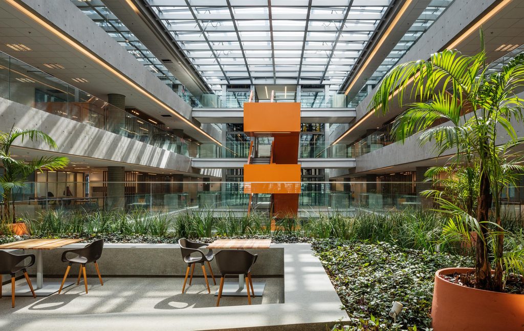 Sede da empresa Natura em São Paulo mostra projeto arquitetônico construído em harmonização com o verde. Foto: Divulgação