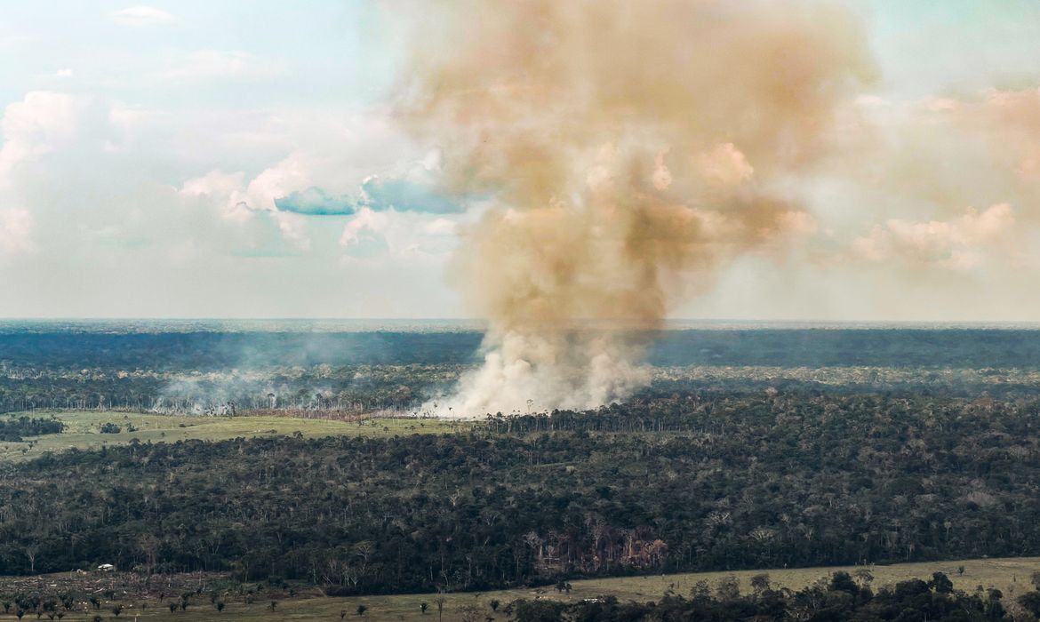 Emissões líquidas do Brasil caem para o menor nível desde 2012, mostra Seeg Área de floresta amazônica preservada, com vegetação densa, ilustrando a queda do desmatamento que reduziu as emissões do Brasil em 2025