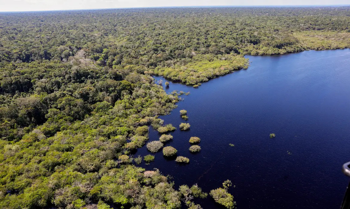 Plataforma pan-amazônica reúne 232 políticas públicas para bioeconomia